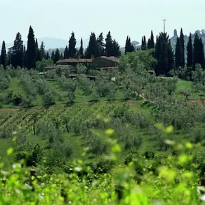  Country house Fattoria Casa Sola